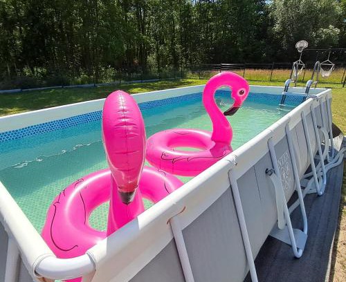 gmina Pokrzywnica Apartamento | Sarenkowo dom z balia ogrodowa