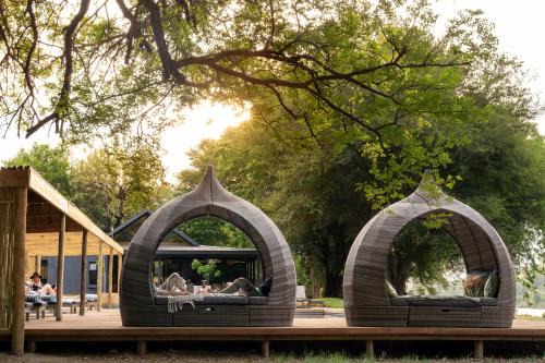 Ehlanzeni Cabina | Sashwa River of Stars Plant-Based Wellness Safari Lodge