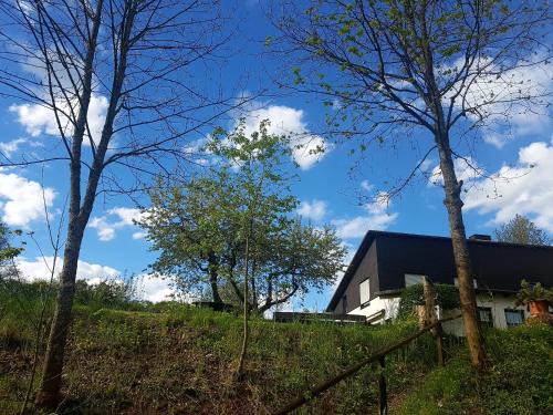 Hallenberg Apartamento | Sauerland Alm Winterberg 5