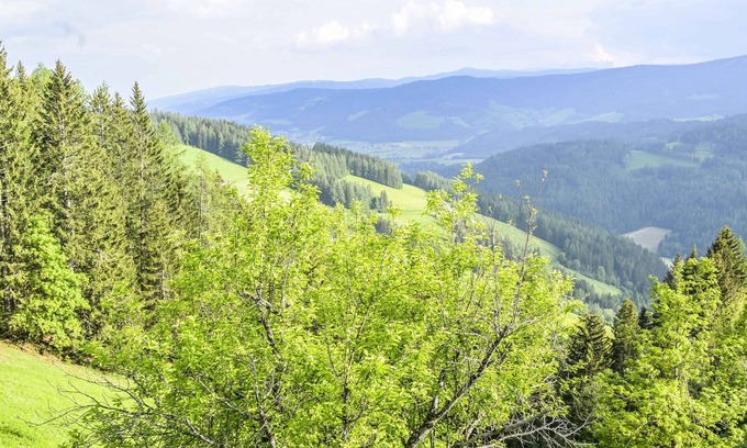 Sankt Wolfgang-Kienberg Apartamento | Schaffer vacation apartment