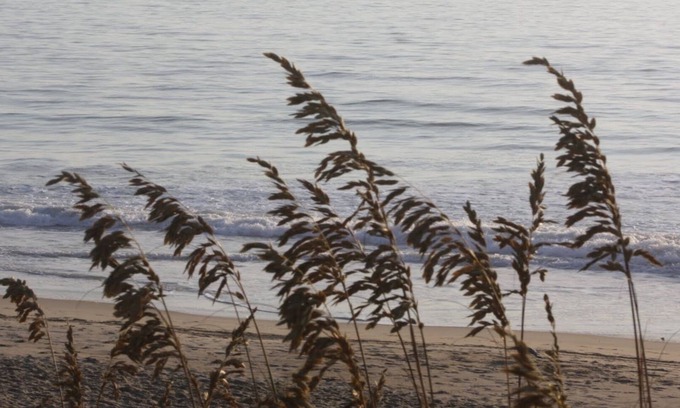 Southern Shores Cabaña | Sea Breezes North - ¡A solo unos pasos de la playa!