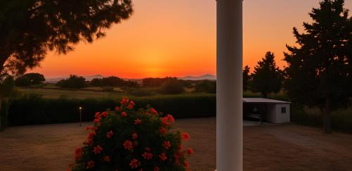 Tingaki Apartamento | Sea & Olive Retreat