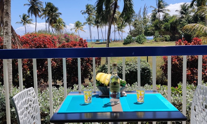 Pointe de la verdure Casa | Sea view studio 30m from the beach. A real island fragrance