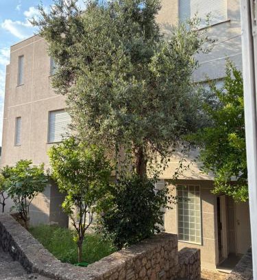 Dhermi Apartamento | Sea Villa Pandora