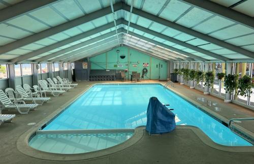 Northeast Virginia Beach Hotel | Seahawk Motel