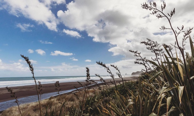 Oakura Casa | SEAVIEWS ON SHEARER OAKURA