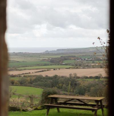 Saltburn-by-the-Sea Casa | Sebright Cottage, Borrowby Farm Cottages
