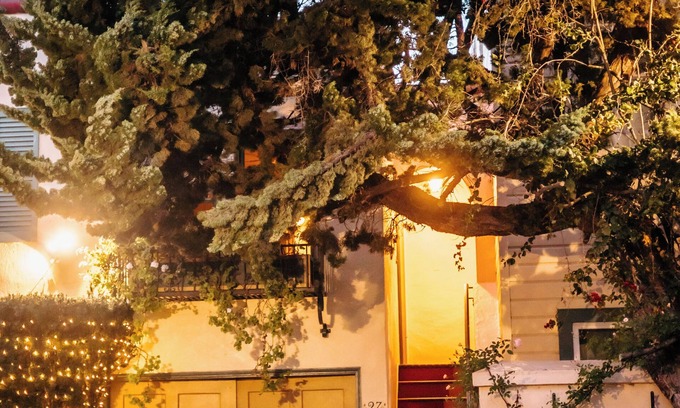 Marina District Apartamento | Secluded Courtyard Studio with Kitchen & Private Entrance