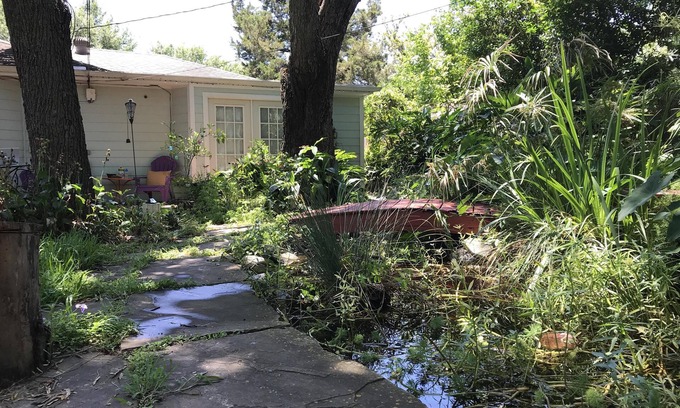 North Houston Casa | Secret Garden-Near Downtown Houston-Entrada privada