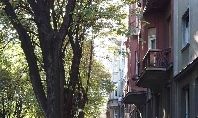 Dorcol Apartamento | Secret Space