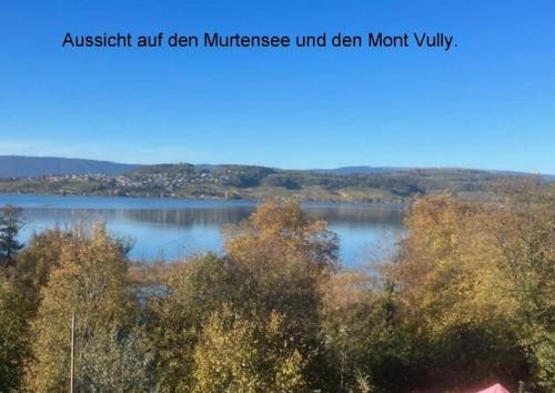 Meyriez Apartamento | Seeblick