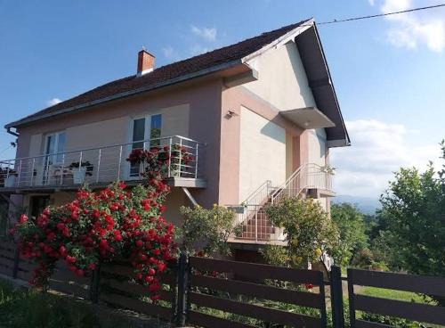 Valjevo Casa | Seosko domacinstvo Nedic