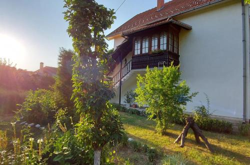 Donji Milanovac Apartamento | Seosko turističko domaćinstvo Badrkić