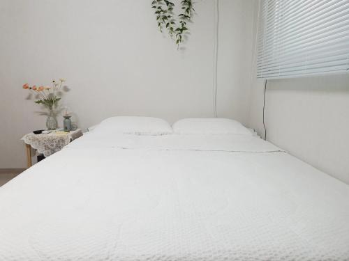 Inheon Apartamento | Seoul House