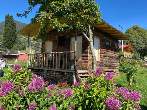 Zipaquira Otro | Serás Libre Refugio
