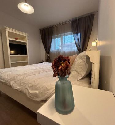 Dumbravita Apartamento | Serelor Cozy Flat