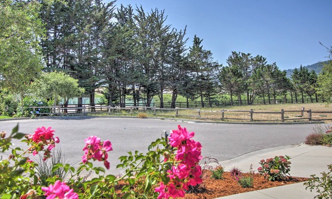 Point Reyes Station Cabaña | Serene Bungalow-style Home in Point Reyes Station!