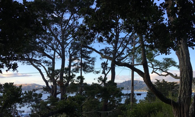 Sausalito Apartamento | Serene Sausalito de un dormitorio en-ley de unidad de 20 minutos de San Francisco