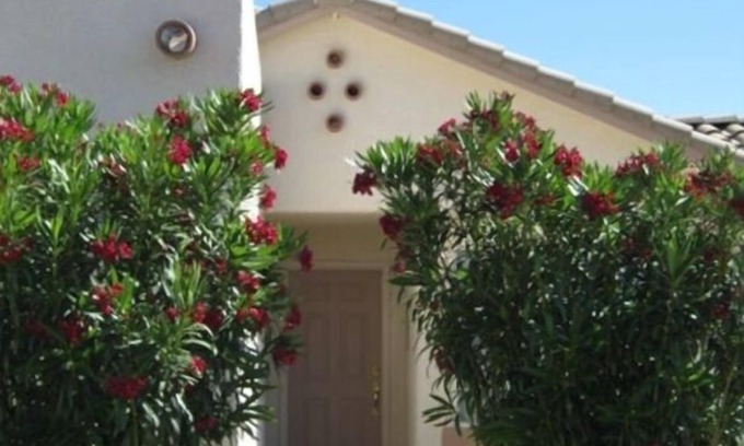 Rio Rico Casa | ¡Serenidad en el cálido y soleado Arizona cerca de Tubac! Tiene hermosas vistas y pájaros galo
