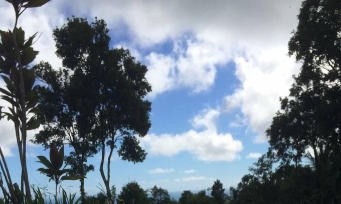 Pitahaya Cama Y Desayuno | Serenity Rainforest Retreat