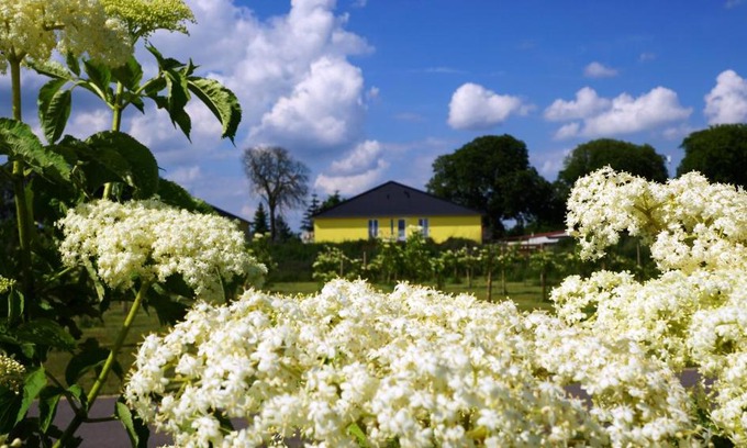 Severin Apartamento | Severin Apartments