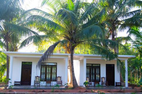 Sigiriya Cama Y Desayuno | Shady mango villa