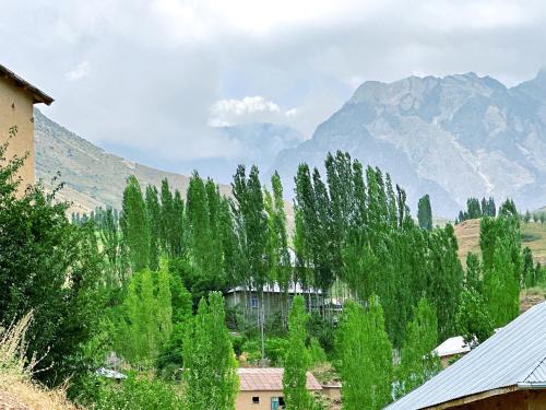 Kashkadarya Province Casa | Shahzod Guesthouse & Homestay
