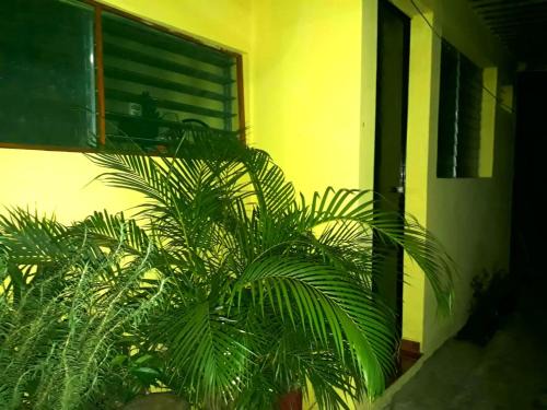 Santa Ana Casa | SHALOM HOME
