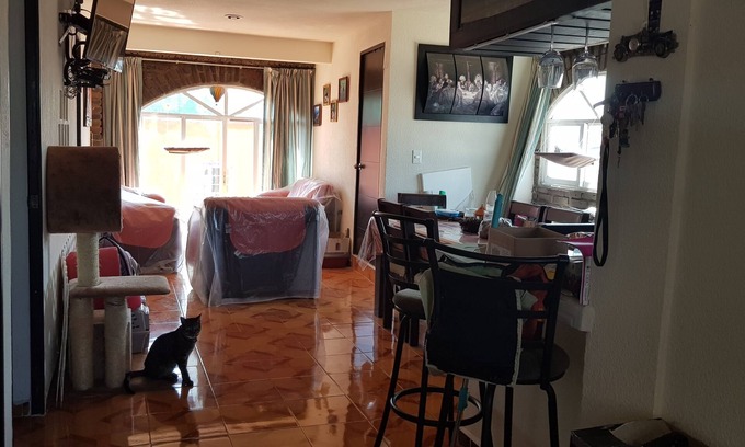 Coyoacan Apartamento | Habitación compartida para viajeros gay hombres.