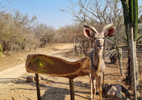 Marloth Park Casa | Shebamona No loadshedding