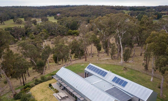 Drummond Casa | SHEDSTER - TASTE A TREE CHANGE