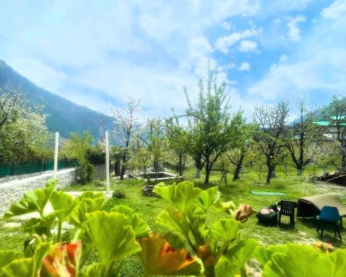 Old Manali Casa | Shehjaar