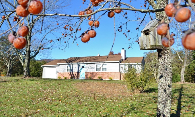 Fort Valley Cabaña | Shenandoah Cottage at Persimmon hill with Mountain Views
