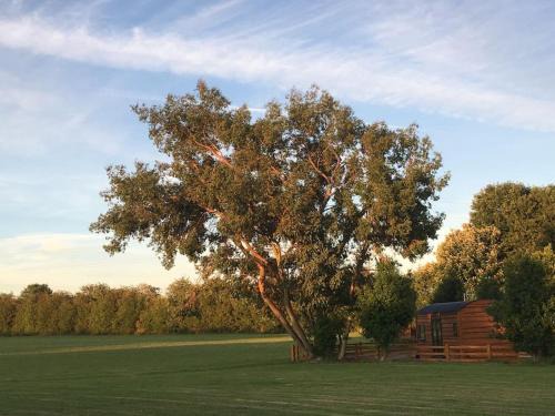 Forsbrook Casa | Shepherds Haven