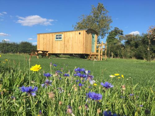Bedfield Casa | Shepherds Hut 5
