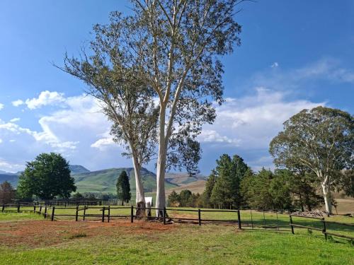 Kwa Sani Casa | Shiloh Country Cottage