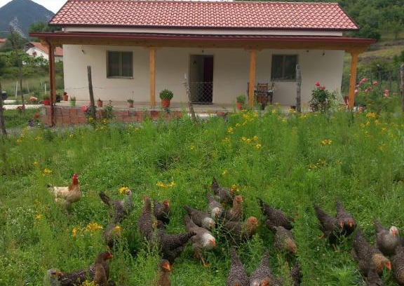 Sakës Casa | Shpija E AMEL (Sweet Guest House)
