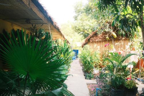Siem Reap Hotel | Siem Reap Homesteading II