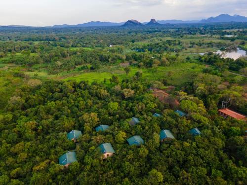 Dambulla Complejo | Sigiriya Forest Edge By Marino Leisure