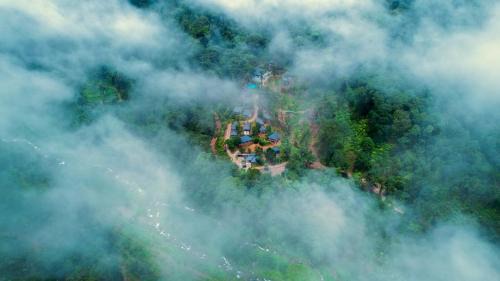 Madikeri Complejo | Silent Brook Resort - Coorg