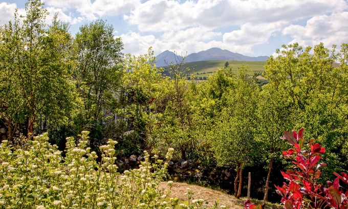 Killarney Cabaña | Silver Birch House