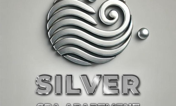 Backa Palanka Apartamento | Silver Spa Apartment