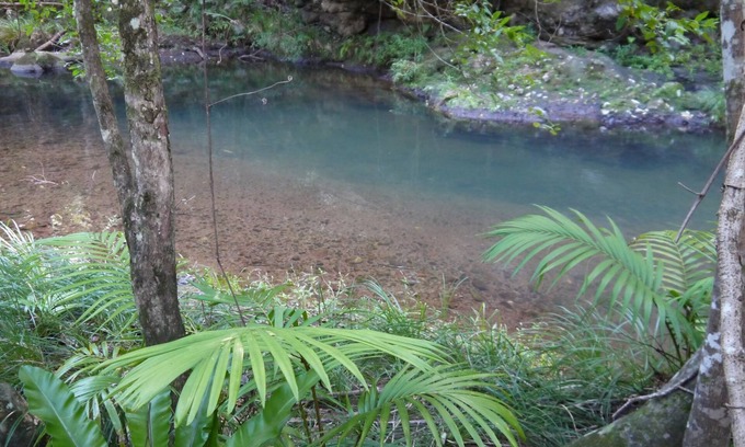 Cougal Complejo | Retiro de la selva tropical de Sine Cera