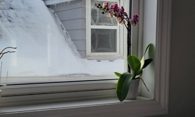 Moncton Cama Y Desayuno | Sitrang's Place