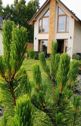Lubiatowo Casa | Sjesta al mare, domki z sauną i balią z jacuzzi