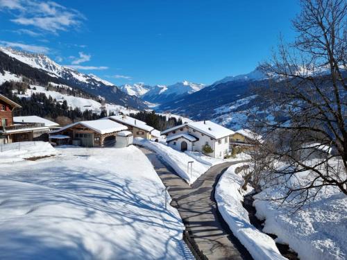 Pany Apartamento | Ski fahren-Schneeschuhwandern-Langlauf inkl Hallenbad