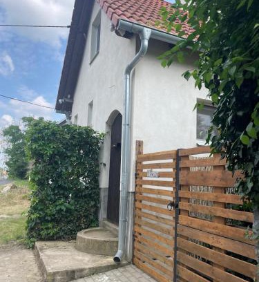 Dobre Pole Cabina | Sklípek-chatka Bella Moravia