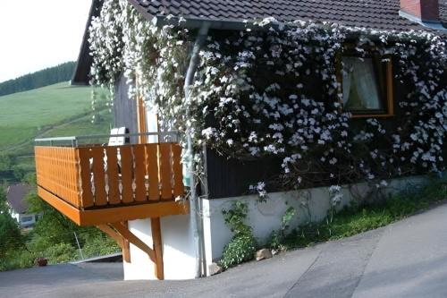 Schuttertal Casa | Small holiday cottage Ivy