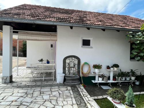 Niska Banja Casa | Smeštaj Pejčić