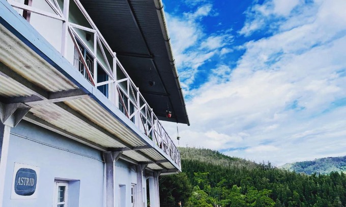 Wellington Casa | Smoking Hill